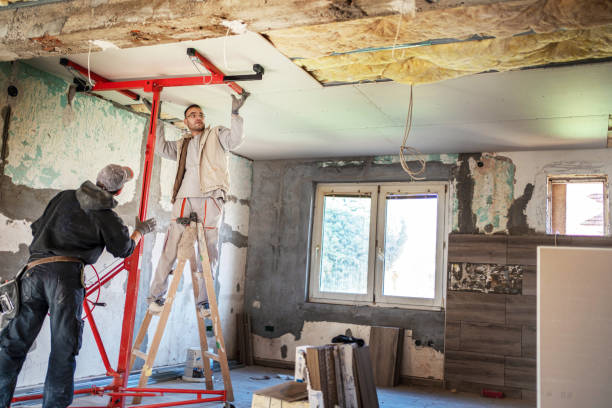 Best Eco-Friendly or Green Insulation Solutions  in Mount Carmel, IL