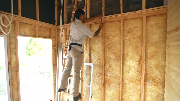 Best Radiant Barrier Insulation  in Mount Carmel, IL