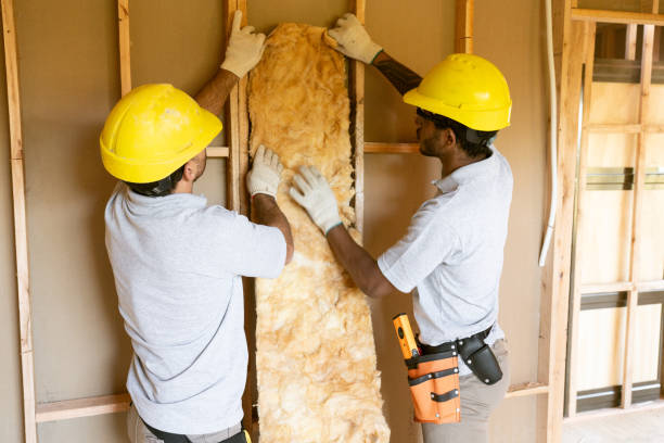 Best Garage Insulation  in Mount Carmel, IL