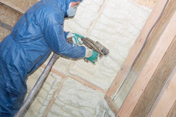 Trusted Mount Carmel, IL Insulation Installation & Removal Experts